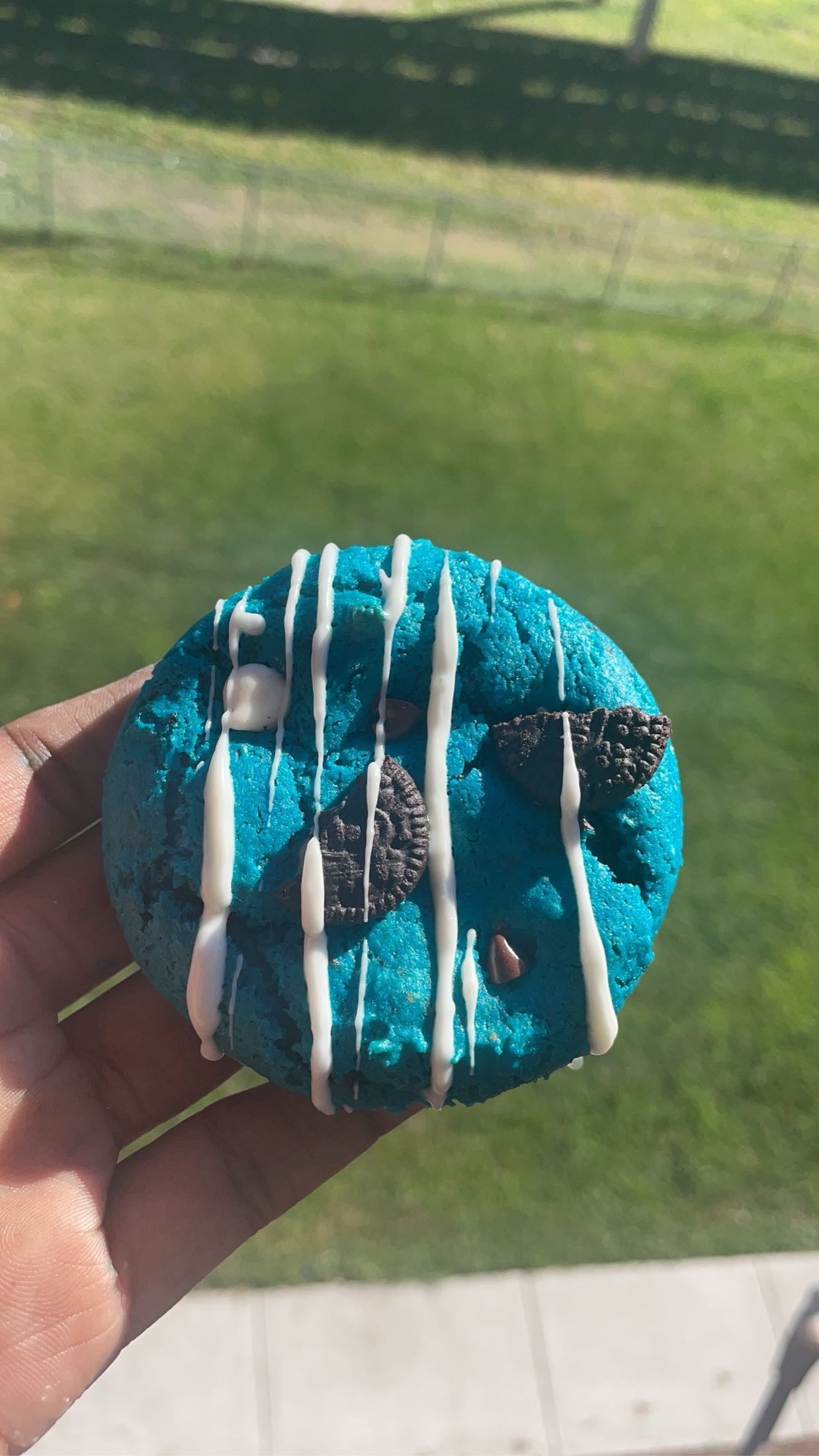 Cookie monster cookie